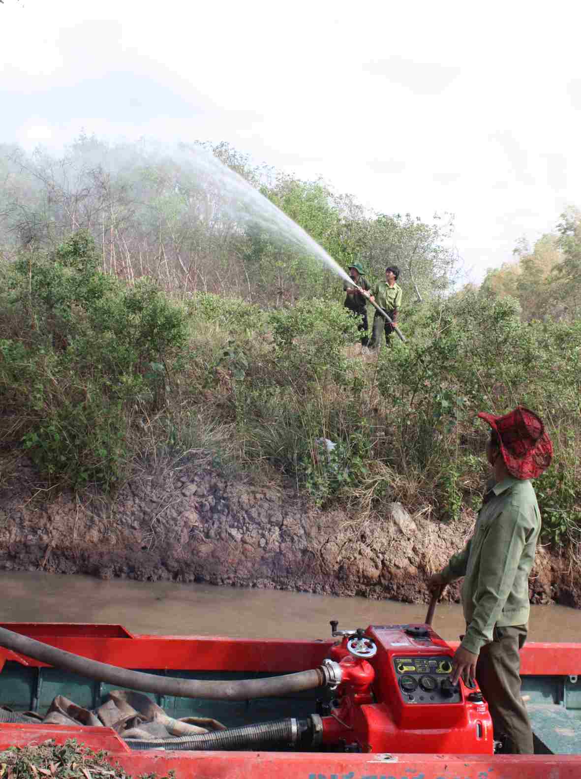 Vườn chim Bạc Liêu báo động cháy cấp IV