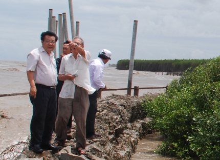 Cà Mau Hiệu quả từ việc tạo bãi chống sạt lở đê biển Tây