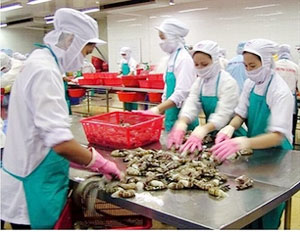 New barriers against food exports to US