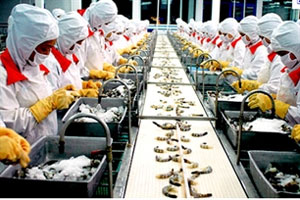 Top ten shrimp and tra fish exporters