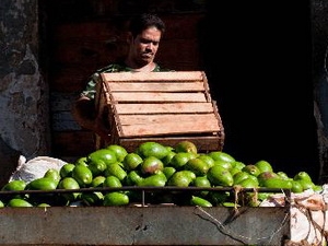 Cuba atteint 9 milliards de dollars d exportations et des services