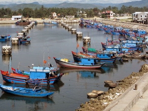 Tổ chức hoạt động ổn định nghiệp đoàn nghề cá