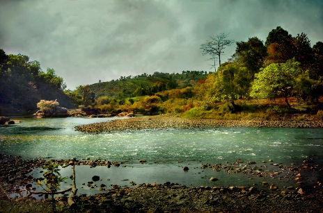 “I and Nature” exhibition to open in Ho Chi Minh City