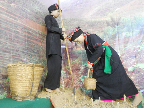 Northwestern mountain culture in Hanoi