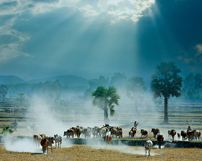 La belle image du Vietnam