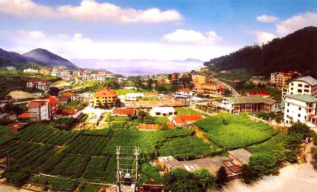 Tam Dao, station d’altitude par excellence