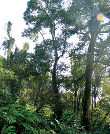 Muong Khuong et Bat Xat Lào Cai , deux destinations touristiques en devenir