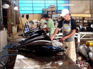 Japan still big market for Vietnam’s tuna export