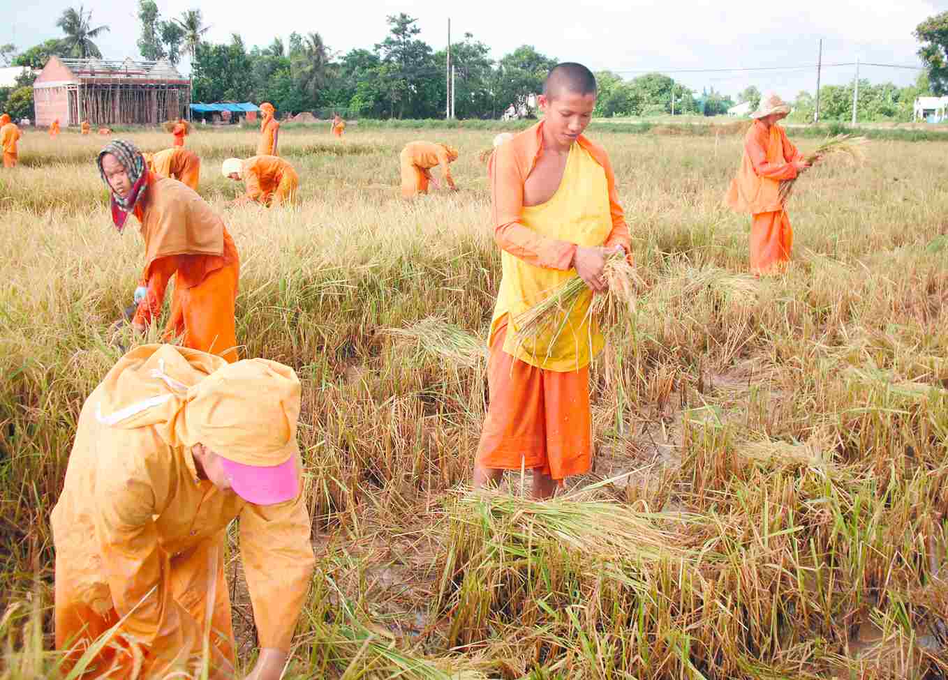 Bạc Liêu Thạch Ngọc Hận - nhà sư Khmer học tập và làm theo gương Bác