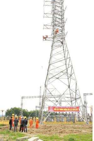 Công ty Điện lực Hải Phòng đẩy mạnh công tác phòng chống lụt bão