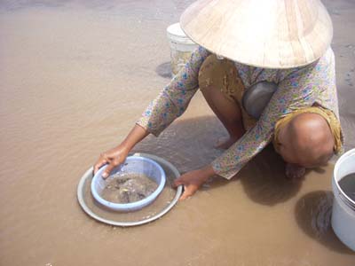 Bến Tre Quản lý, khai thác hiệu quả vùng bãi bồi ven biển