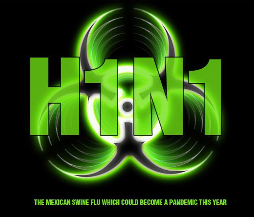 Hậu quả đáng buồn do dịch cúm A H1N1