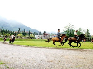 2012年越南老街省北河赛马比赛圆满结束