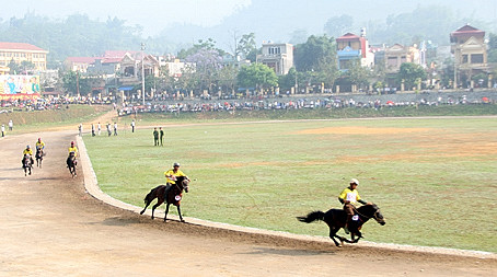 Bientôt la course hippique traditionnelle de Bac Ha 2012