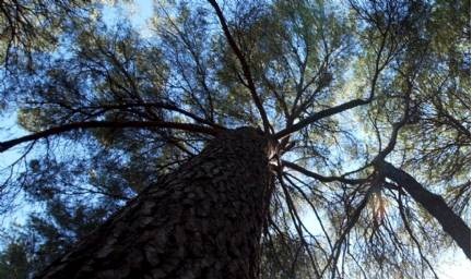 Environnement l ONU tire la sonnette d alarme