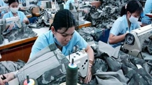 Garment exports up 11 percent