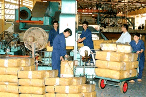 Export value to India on the rise