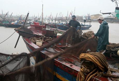 Tổ chức lại nghề khai thác biển nhằm nâng cao đời sống của cộng đồng ngư dân