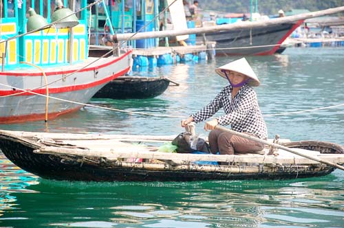 Lênh đênh cuộc sống người dân làng chài Cửa Vạn