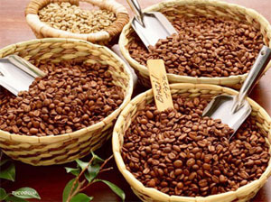 Vietnam-Chile trade up 38 percent in first half