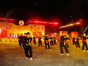 Int’l martial arts festival opens in Binh Dinh