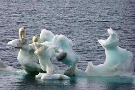 Nouveau record de fonte des glaces en Arctique