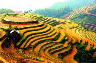 Semaine culturelle dédiée aux rizières en terrasses de Mu Cang Chai