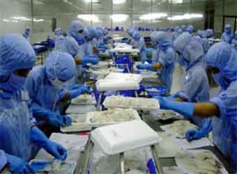 Fresh cuttlefish exports to France rise sharply