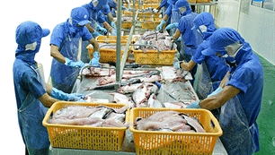 Local firms urged to approach Ukrainian market