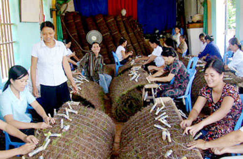 ADB enhances microfinance sector in Vietnam