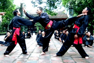Vietnamese martial arts join world union
