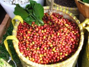 Agriculture, forestry and seafood exports exceed USD20 billion