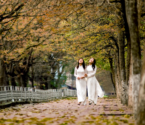 Souvenir de l’automne de Hanoï