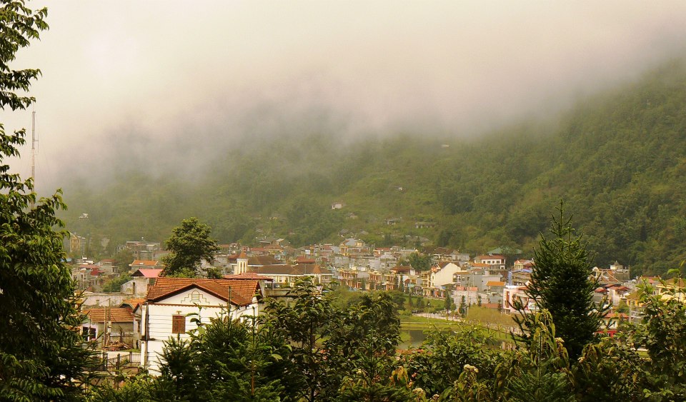 Sapa in golden season