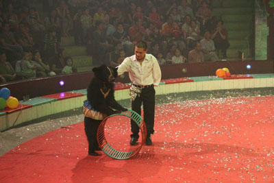 Animal circus festival welcomes Vietnam Stage Day