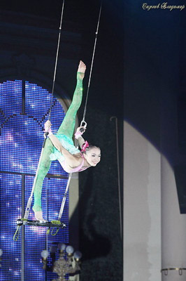 Vietnam wins gold medals at Int’l Circus Festival