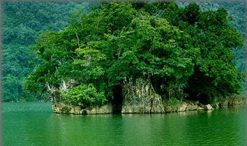 越南吉仙国家公园有望成为世界自然遗产