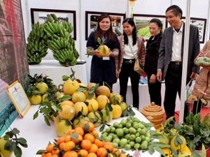 Hanoi ready for spring flower festival 2013