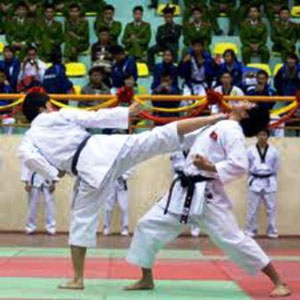 2013年越南人民公安力量武术和射击锦标赛在河内举行