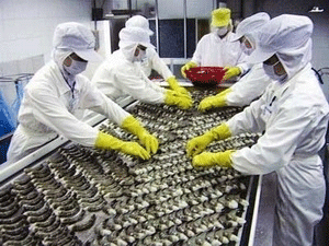 No subsidy for Vietnam’s shrimp producers VASEP