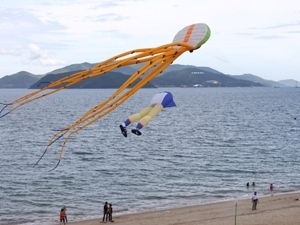 “越南——无尽之美”艺术图片竞赛正式启动