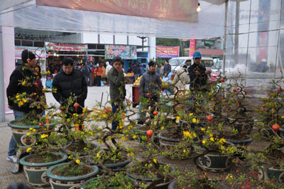 Spring Fair 2013 to open in Hanoi