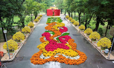 河内已为举办2013年新年花市做好准备