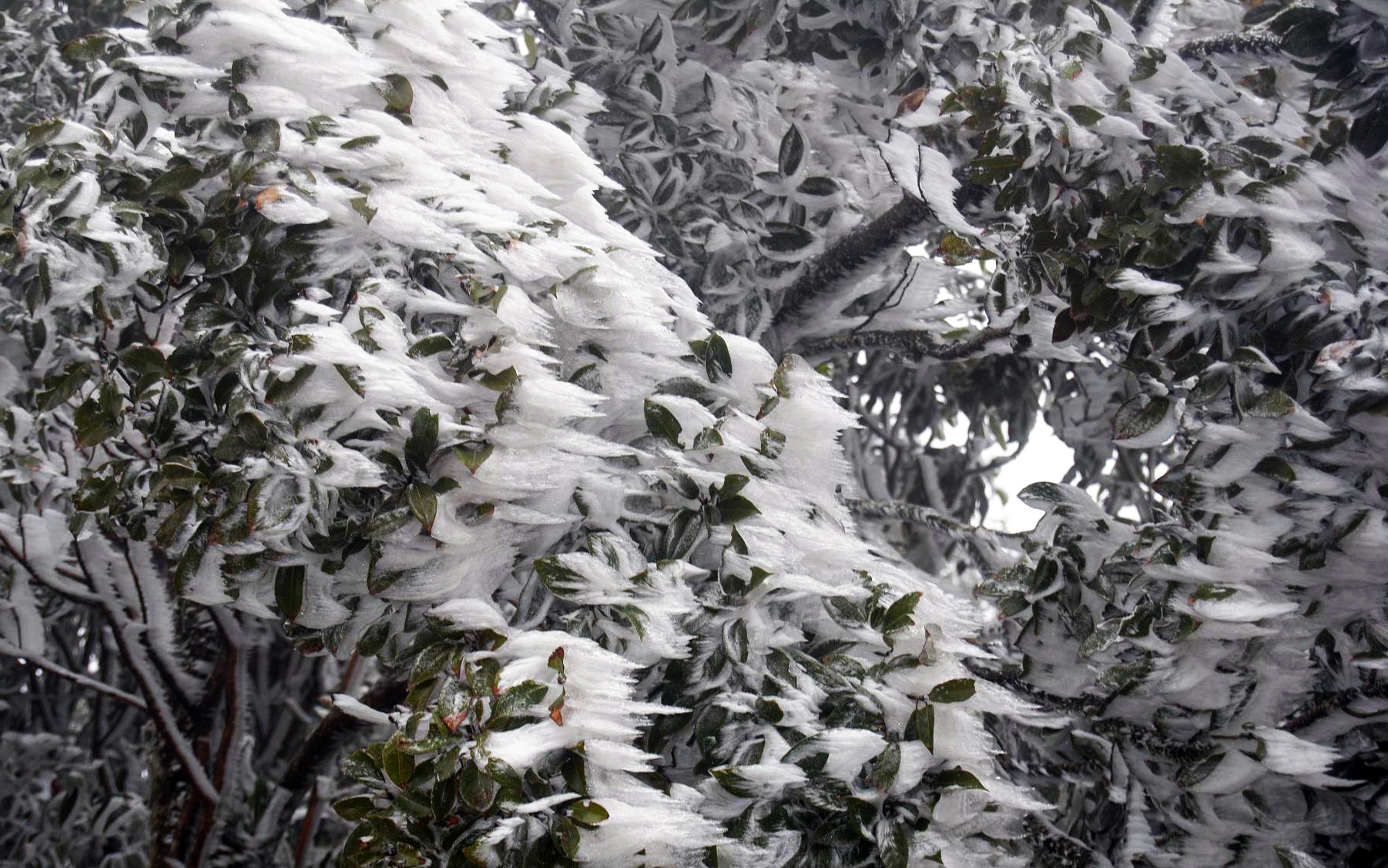 Frost covers Heaven s Gate – Sapa