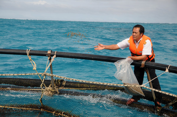 Cage fish farming in Truong Sa