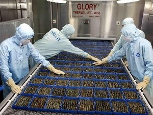 US Department of Commerce investigates Vietnamese shrimp