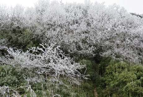 La beauté irrésistible de l’hiver à Cao Bang