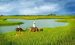 Photographie lancement du concours Vietnam la beauté à l’infini