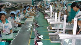 Vietnamese businesses five years after joining the WTO