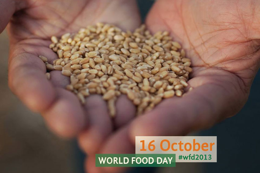 Journée mondiale de l alimentation L ONU mobilise pour éradiquer la faim une fois pour toutes